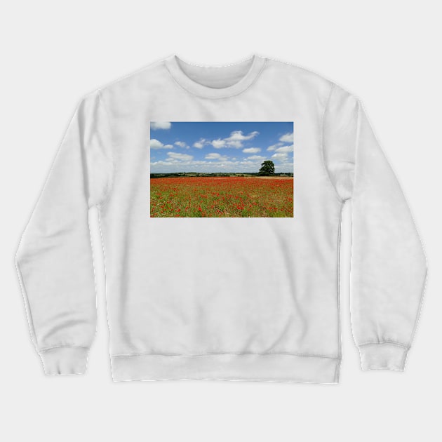 Poppy Field Crewneck Sweatshirt by Chris Petty